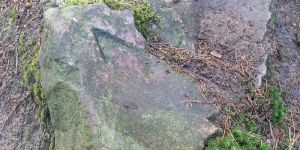 Wandergruppe der SPD entdeckt historischen Grenzstein