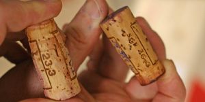 Was beim Weinkauf beachtet werden sollte