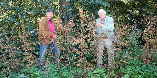 Majestätische Aussicht: Viele der neuen Pflanzen sind eingegangen