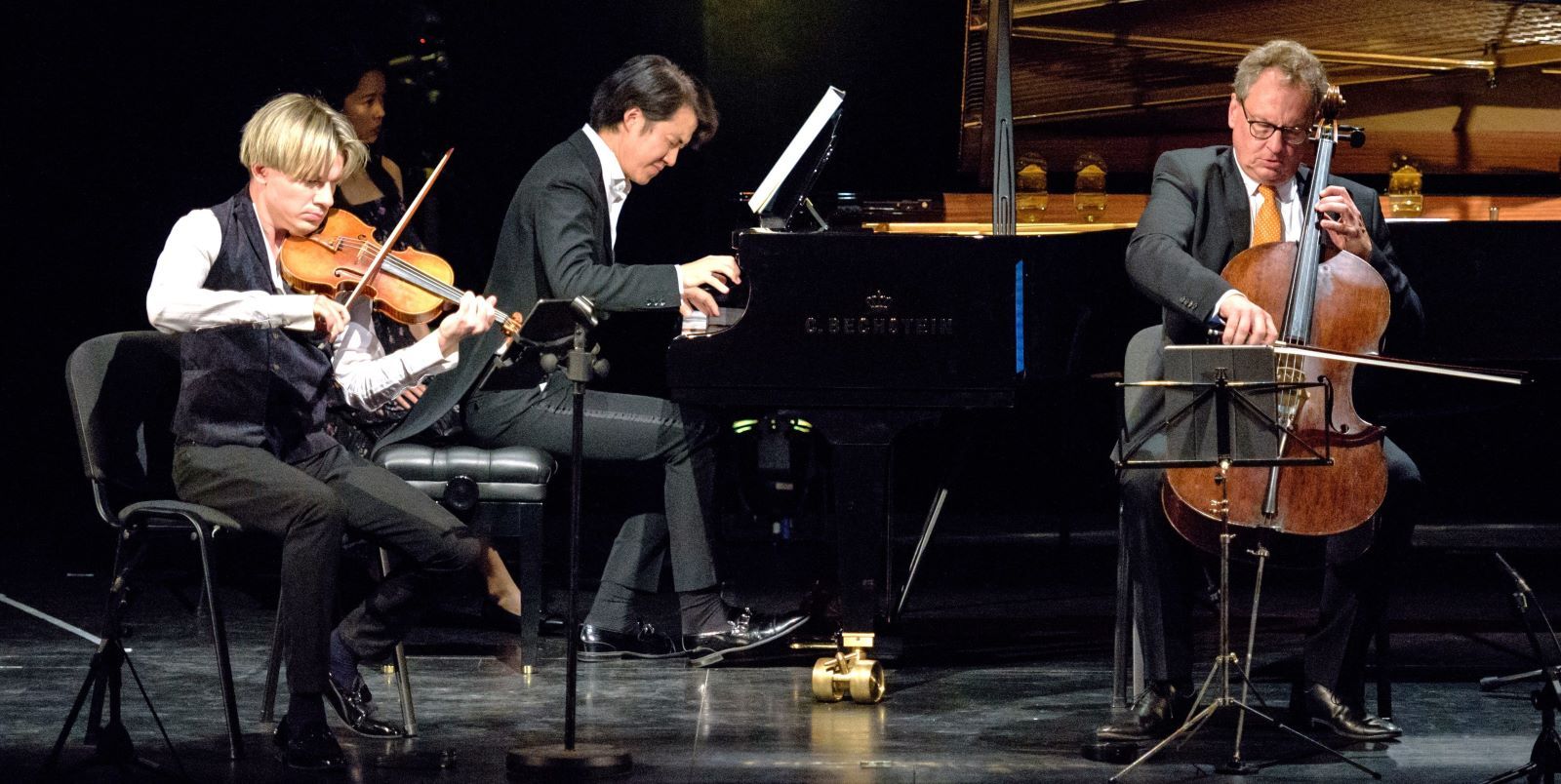 Hochkarätige Künstler im Harburger Theater: Klassik-Stars geben umjubeltes Konzert