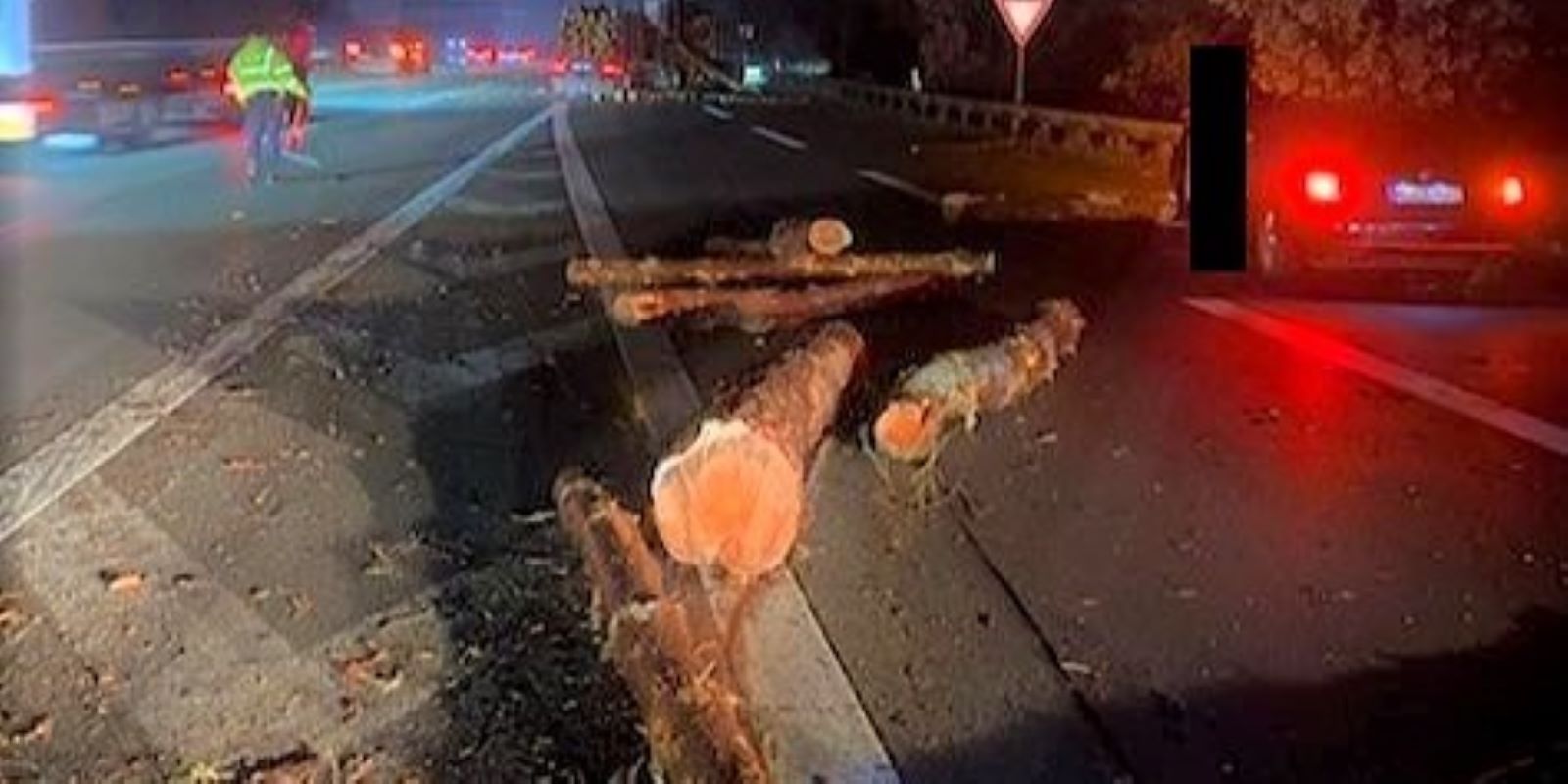 Baumstämme blockieren die A1 in Maschen: Langer Stau im Berufsverkehr