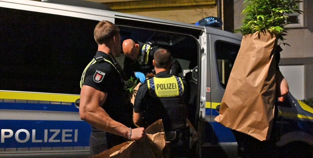 Polizei will Streit auf Party schlichten und entdeckt Drogen-Anbau