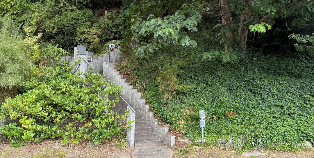 Brutale Tat am Dahlengrund: Vermeintliche Gärtner überfallen 80-Jährigen