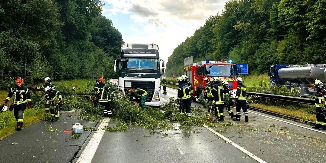 Baum stürzt auf die A261: Vollsperrung und zwei beschädigte Fahrzeuge