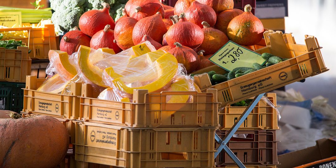 Wenn es draußen kalt wird: Rezepte zum Wohlfühlen  Wärmestifter aus dem Kochtopf: Kulinarischer Trost für frostige Tage