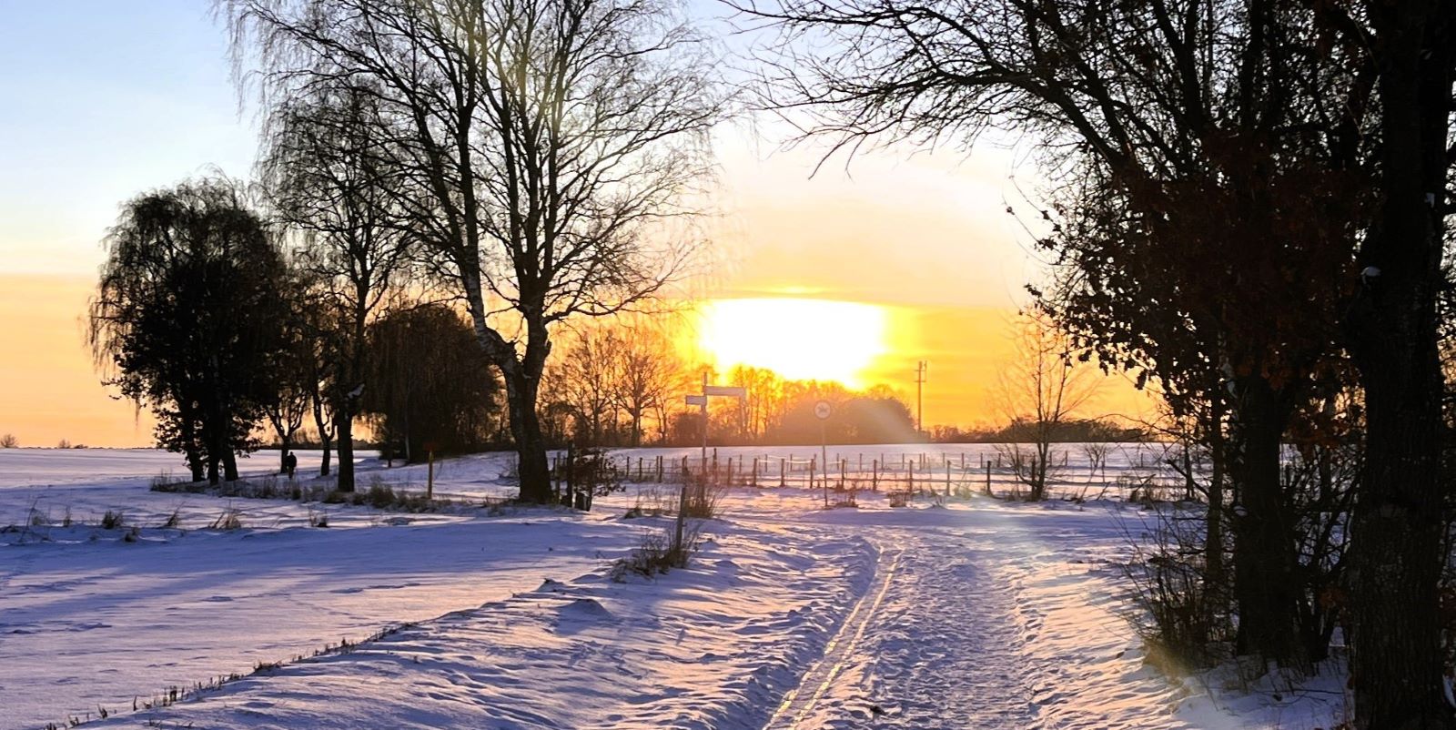Wetterwechsel in Harburg Stadt und Land: Steigende Temperaturen und viel Regen
