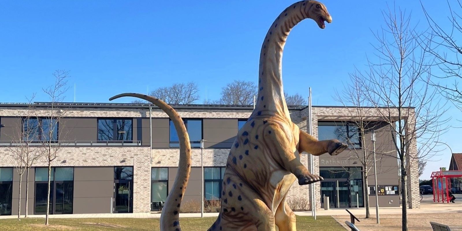 Neuer Dinosaurier vor dem Rathaus: Ein „Apatosaurus“ erfreut die Besucher