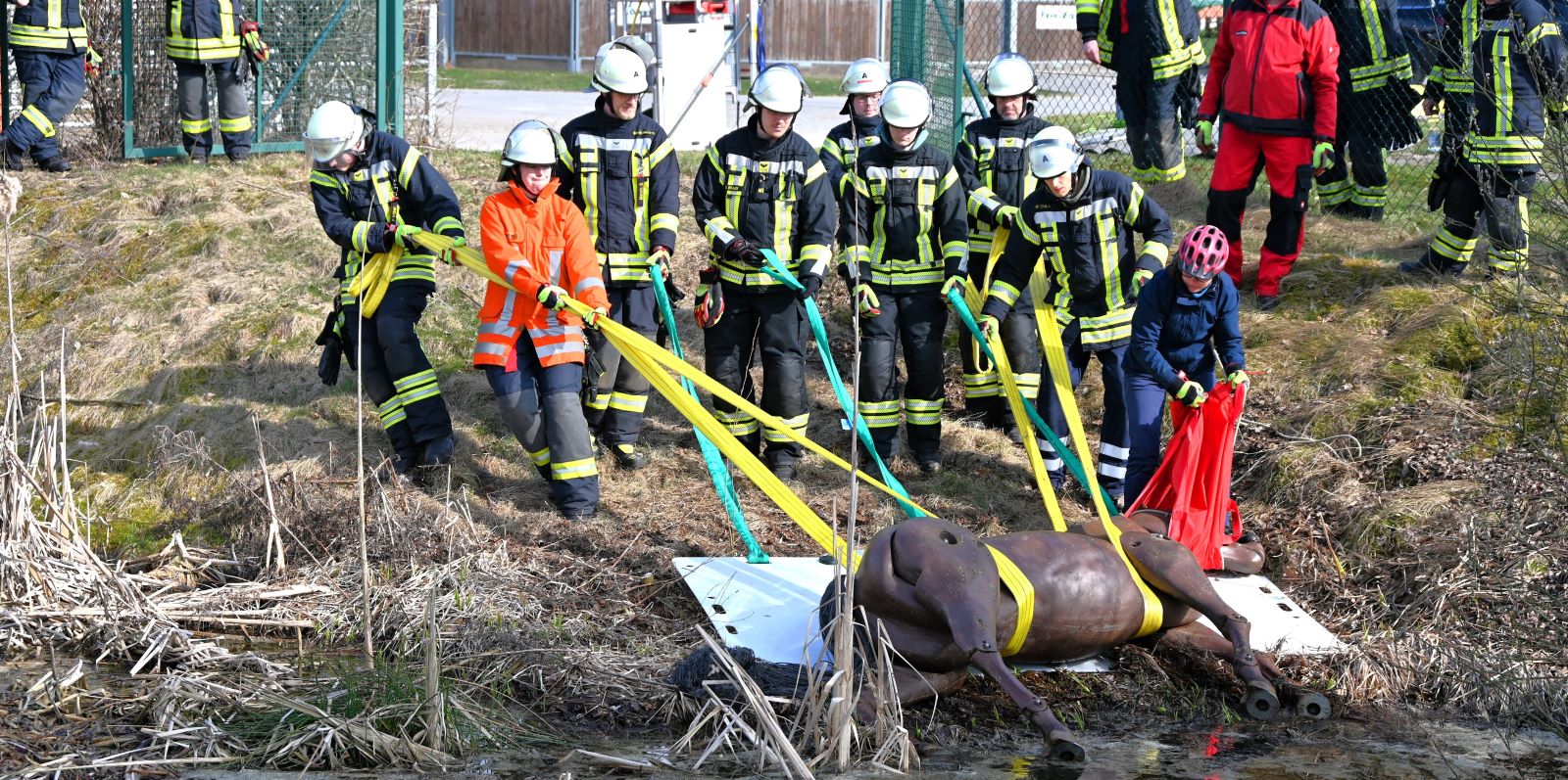 Pferdedummy im Einsatz: Feuerwehr Salzhausen trainiert Großtierrettung in Luhmühlen